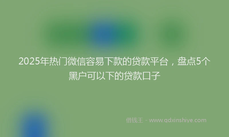 2025年热门微信容易下款的贷款平台，盘点5个黑户可以下的贷款口子