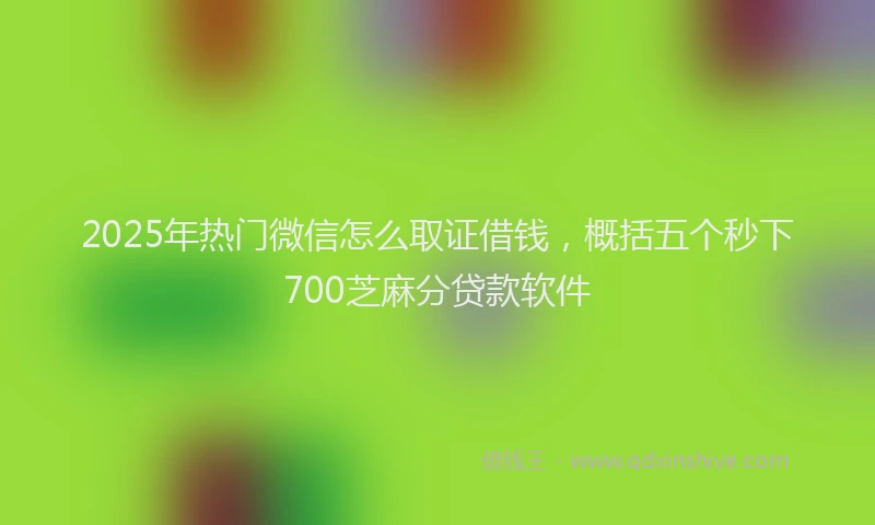 2025年热门微信怎么取证借钱，概括五个秒下700芝麻分贷款软件