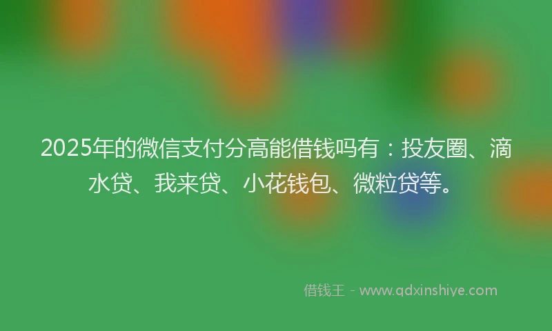 2025年的微信支付分高能借钱吗有：投友圈、滴水贷、我来贷、小花钱包、微粒贷等。