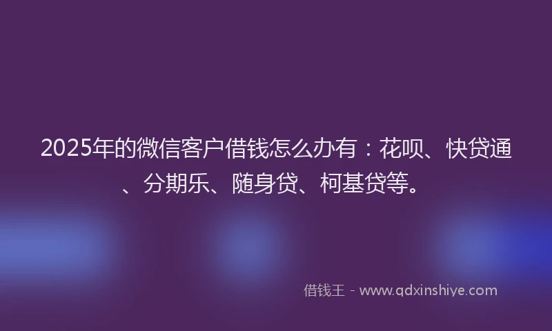 2025年的微信客户借钱怎么办有：花呗、快贷通、分期乐、随身贷、柯基贷等。