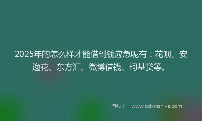 2025年的怎么样才能借到钱应急呢有：花呗、安逸花、东方汇、微博借钱、柯基贷等。