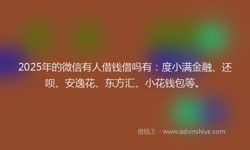 2025年的微信有人借钱借吗有：度小满金融、还呗、安逸花、东方汇、小花钱包等。