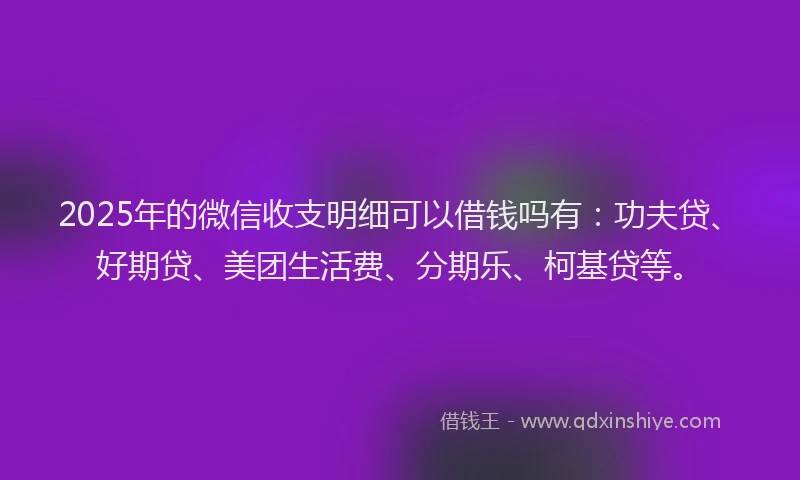2025年的微信收支明细可以借钱吗有：功夫贷、好期贷、美团生活费、分期乐、柯基贷等。