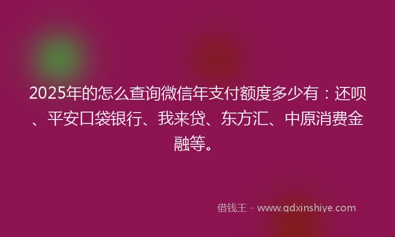 2025年的怎么查询微信年支付额度多少有：还呗、平安口袋银行、我来贷、东方汇、中原消费金融等。