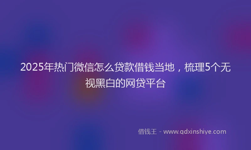 2025年热门微信怎么贷款借钱当地，梳理5个无视黑白的网贷平台