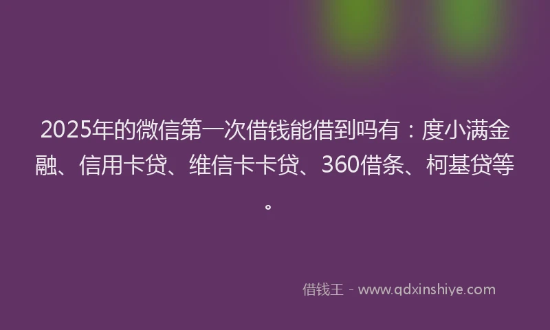 2025年的微信第一次借钱能借到吗有：度小满金融、信用卡贷、维信卡卡贷、360借条、柯基贷等。