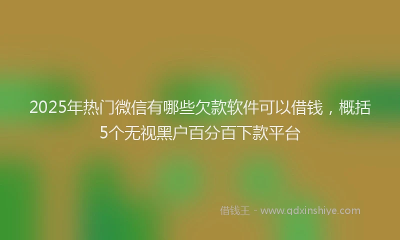 2025年热门微信有哪些欠款软件可以借钱，概括5个无视黑户百分百下款平台