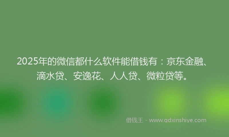 2025年的微信都什么软件能借钱有：京东金融、滴水贷、安逸花、人人贷、微粒贷等。