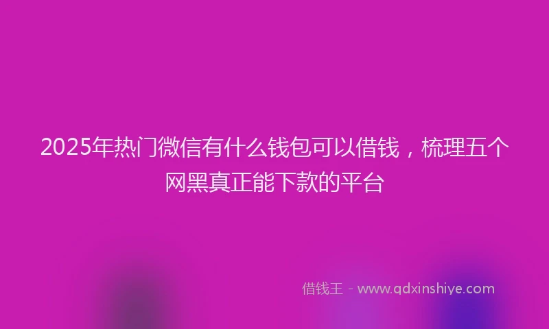 2025年热门微信有什么钱包可以借钱，梳理五个网黑真正能下款的平台