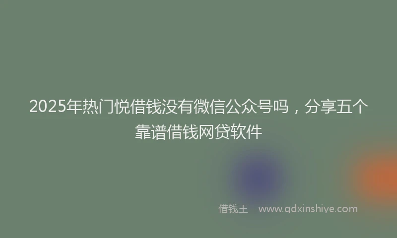 2025年热门悦借钱没有微信公众号吗，分享五个靠谱借钱网贷软件