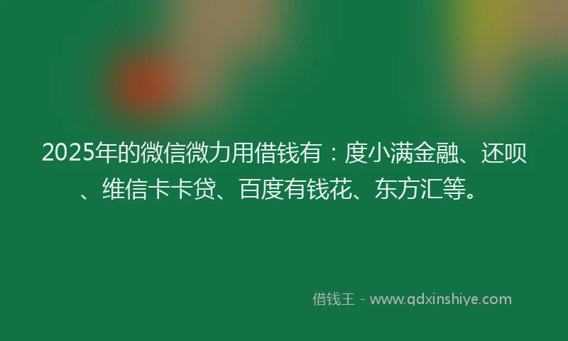 2025年的微信微力用借钱有：度小满金融、还呗、维信卡卡贷、百度有钱花、东方汇等。