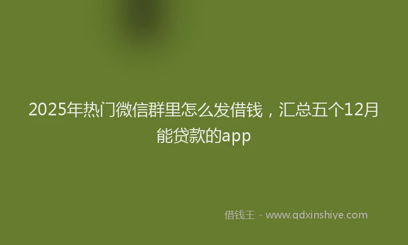 2025年热门微信群里怎么发借钱，汇总五个12月能贷款的app