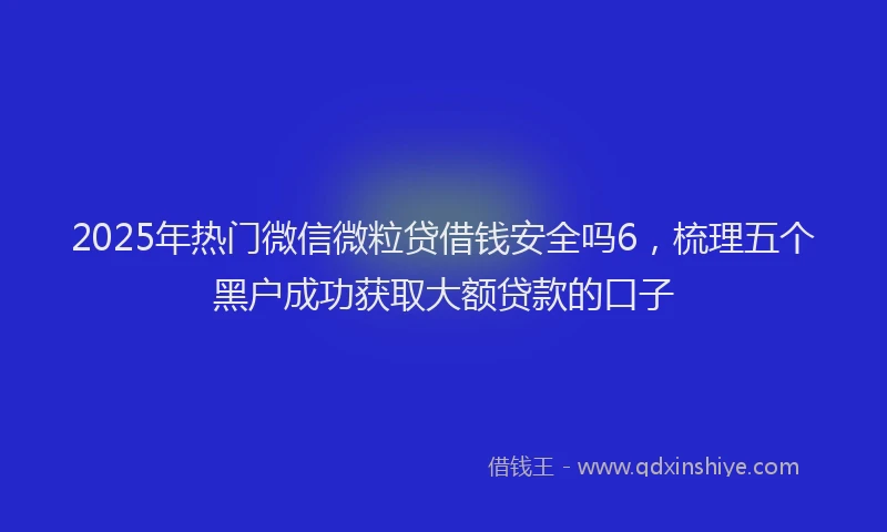 2025年热门微信微粒贷借钱安全吗6，梳理五个黑户成功获取大额贷款的口子