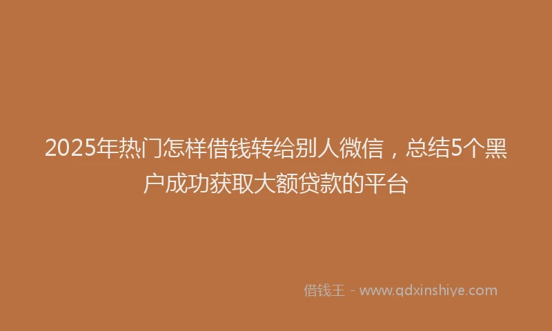 2025年热门怎样借钱转给别人微信，总结5个黑户成功获取大额贷款的平台