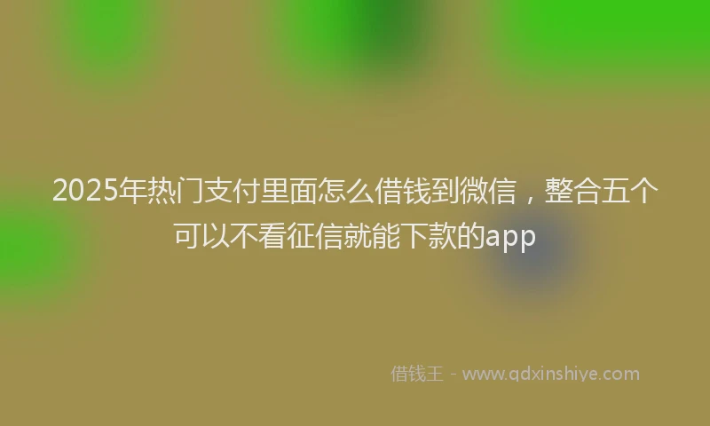 2025年热门支付里面怎么借钱到微信，整合五个可以不看征信就能下款的app