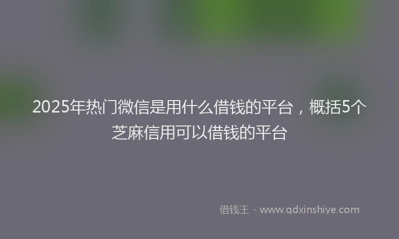 2025年热门微信是用什么借钱的平台，概括5个芝麻信用可以借钱的平台
