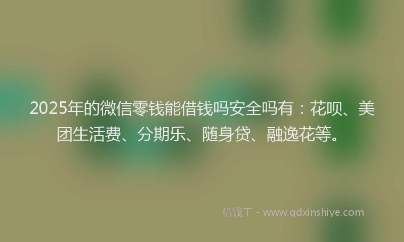 2025年的微信零钱能借钱吗安全吗有：花呗、美团生活费、分期乐、随身贷、融逸花等。
