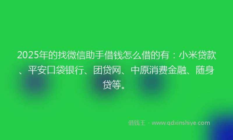 2025年的找微信助手借钱怎么借的有：小米贷款、平安口袋银行、团贷网、中原消费金融、随身贷等。