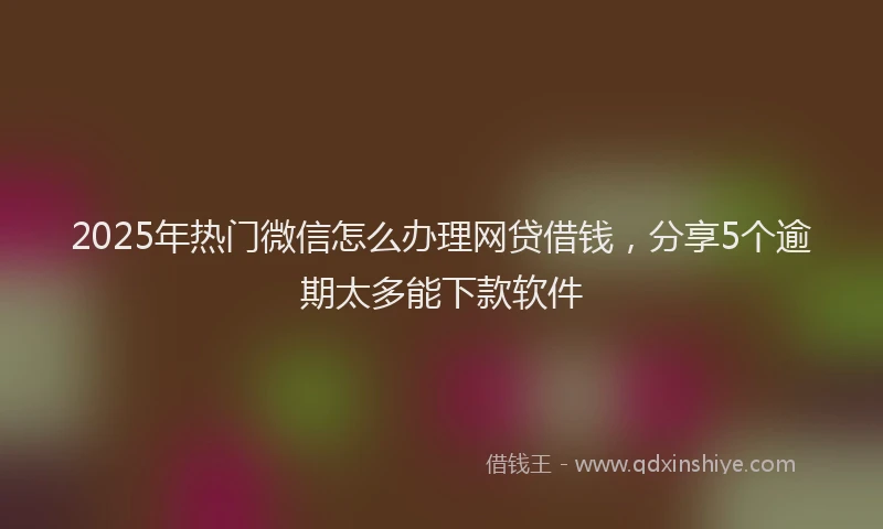 2025年热门微信怎么办理网贷借钱，分享5个逾期太多能下款软件