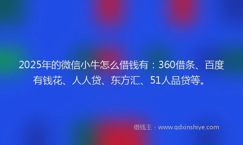 2025年的微信小牛怎么借钱有：360借条、百度有钱花、人人贷、东方汇、51人品贷等。