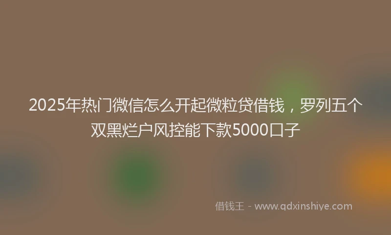 2025年热门微信怎么开起微粒贷借钱，罗列五个双黑烂户风控能下款5000口子