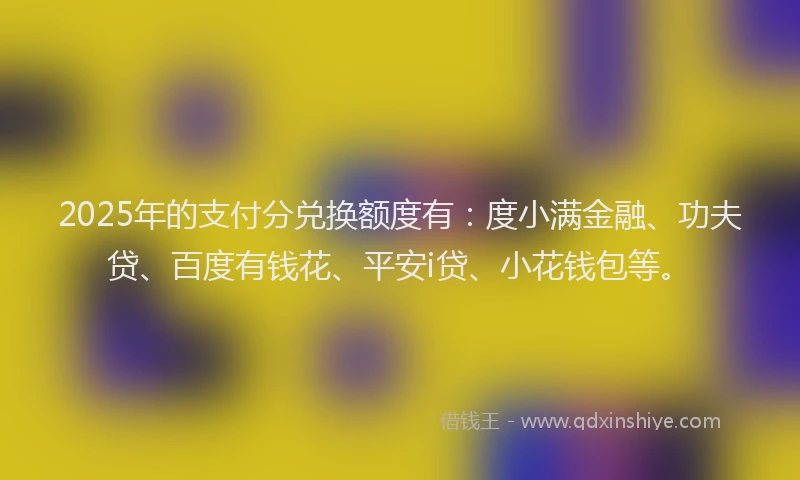 2025年的支付分兑换额度有：度小满金融、功夫贷、百度有钱花、平安i贷、小花钱包等。
