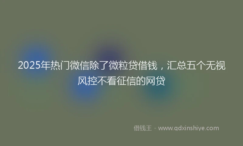 2025年热门微信除了微粒贷借钱，汇总五个无视风控不看征信的网贷