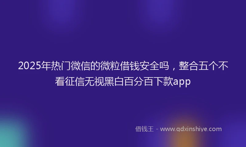 2025年热门微信的微粒借钱安全吗，整合五个不看征信无视黑白百分百下款app