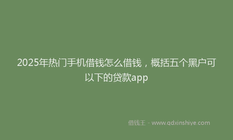 2025年热门手机借钱怎么借钱，概括五个黑户可以下的贷款app