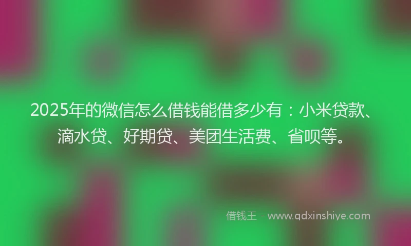 2025年的微信怎么借钱能借多少有：小米贷款、滴水贷、好期贷、美团生活费、省呗等。