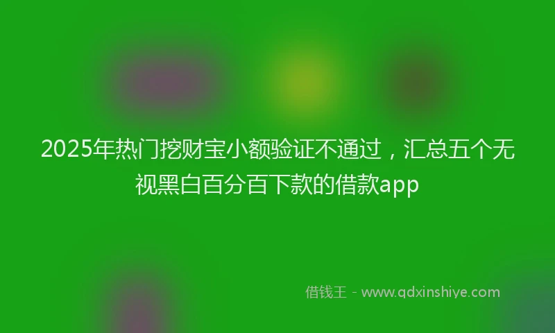 2025年热门挖财宝小额验证不通过，汇总五个无视黑白百分百下款的借款app