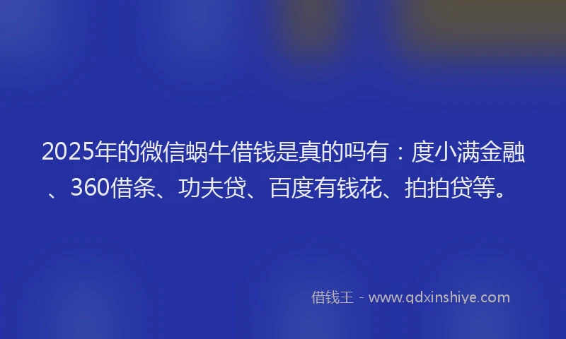 2025年的微信蜗牛借钱是真的吗有：度小满金融、360借条、功夫贷、百度有钱花、拍拍贷等。