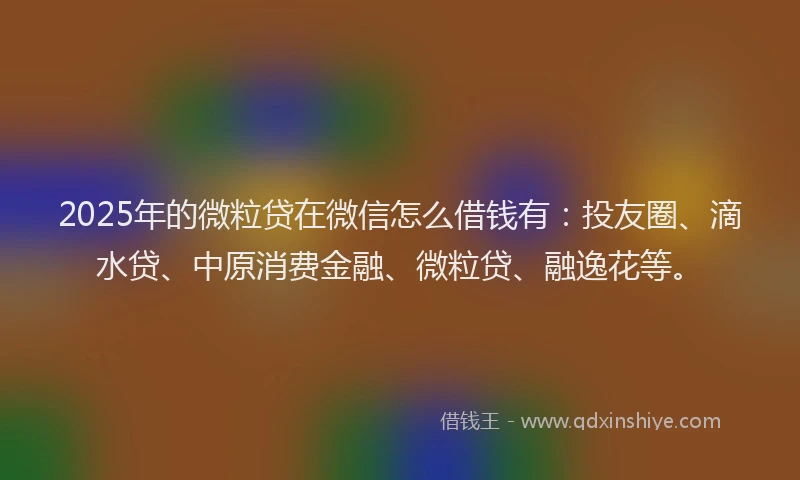 2025年的微粒贷在微信怎么借钱有：投友圈、滴水贷、中原消费金融、微粒贷、融逸花等。