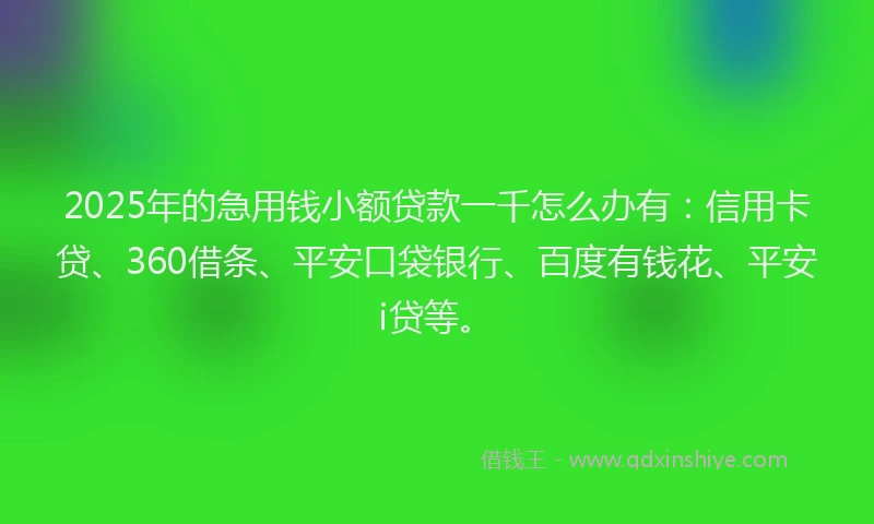 2025年的急用钱小额贷款一千怎么办有：信用卡贷、360借条、平安口袋银行、百度有钱花、平安i贷等。