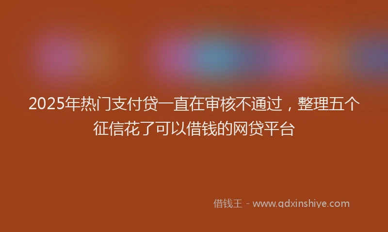 2025年热门支付贷一直在审核不通过，整理五个征信花了可以借钱的网贷平台