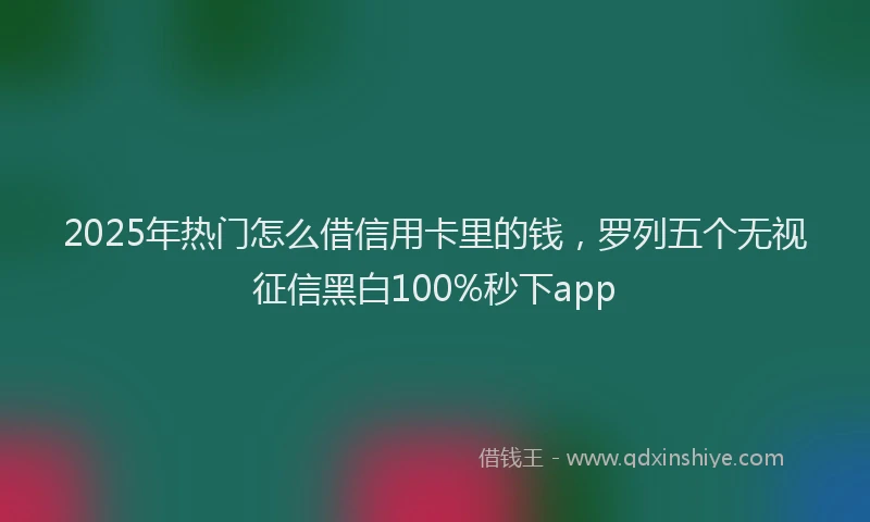 2025年热门怎么借信用卡里的钱，罗列五个无视征信黑白100%秒下app