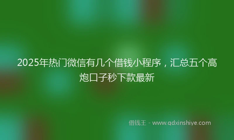 2025年热门微信有几个借钱小程序，汇总五个高炮口子秒下款最新
