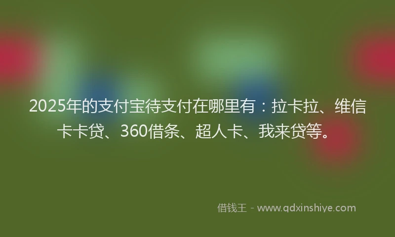 2025年的支付宝待支付在哪里有：拉卡拉、维信卡卡贷、360借条、超人卡、我来贷等。