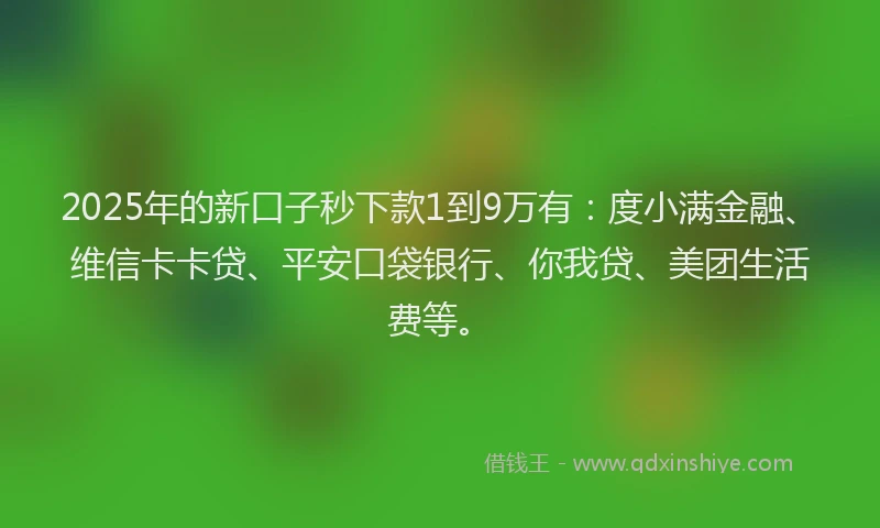 2025年的新口子秒下款1到9万有：度小满金融、维信卡卡贷、平安口袋银行、你我贷、美团生活费等。