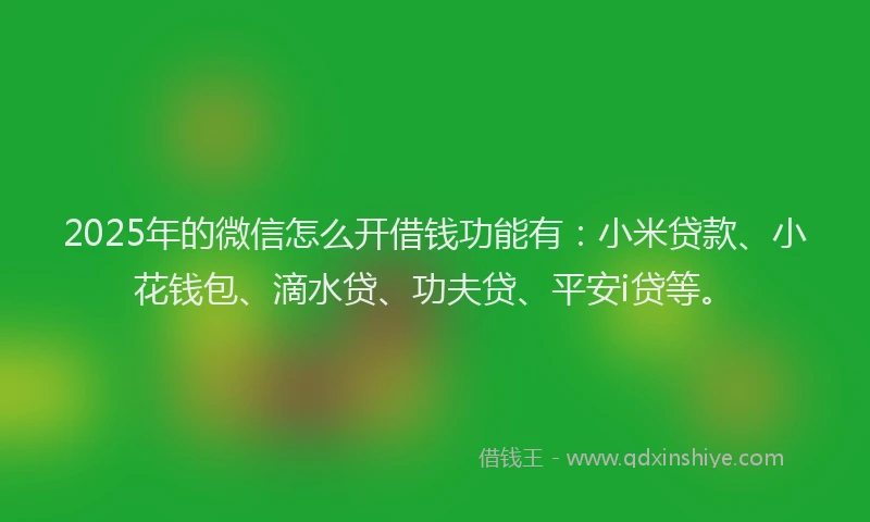 2025年的微信怎么开借钱功能有：小米贷款、小花钱包、滴水贷、功夫贷、平安i贷等。