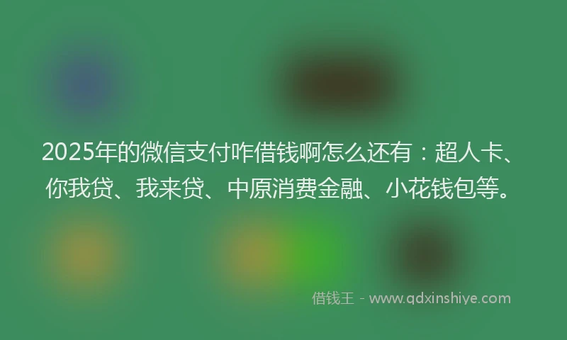 2025年的微信支付咋借钱啊怎么还有：超人卡、你我贷、我来贷、中原消费金融、小花钱包等。