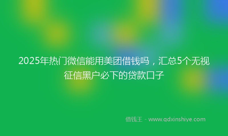 2025年热门微信能用美团借钱吗，汇总5个无视征信黑户必下的贷款口子