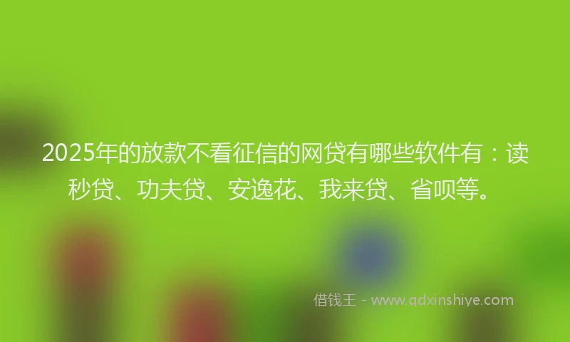 2025年的放款不看征信的网贷有哪些软件有：读秒贷、功夫贷、安逸花、我来贷、省呗等。