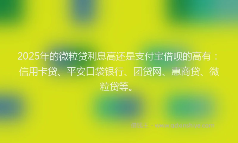 2025年的微粒贷利息高还是支付宝借呗的高有：信用卡贷、平安口袋银行、团贷网、惠商贷、微粒贷等。