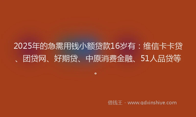 2025年的急需用钱小额贷款16岁有：维信卡卡贷、团贷网、好期贷、中原消费金融、51人品贷等。