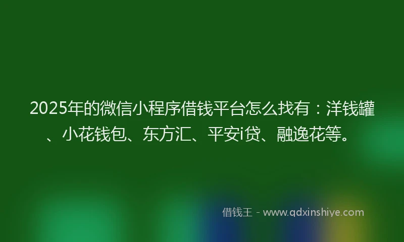 2025年的微信小程序借钱平台怎么找有：洋钱罐、小花钱包、东方汇、平安i贷、融逸花等。