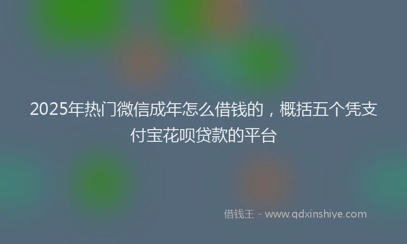 2025年热门微信成年怎么借钱的，概括五个凭支付宝花呗贷款的平台