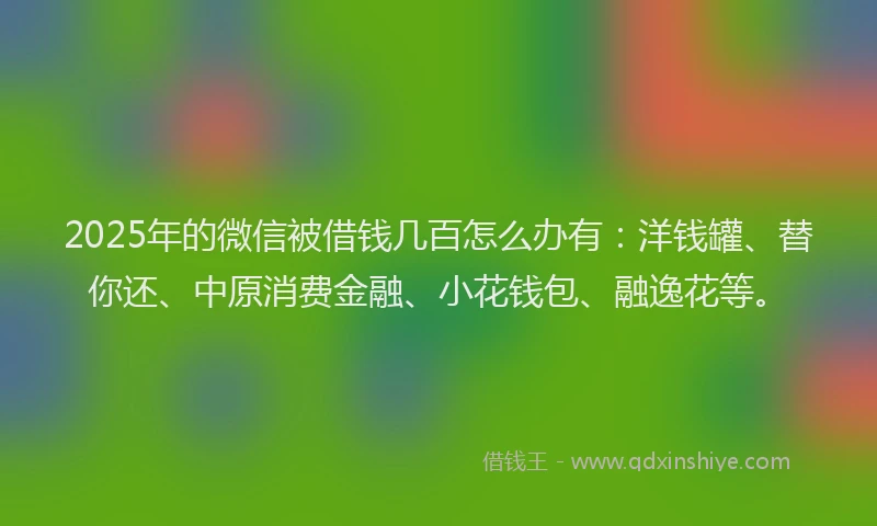 2025年的微信被借钱几百怎么办有：洋钱罐、替你还、中原消费金融、小花钱包、融逸花等。