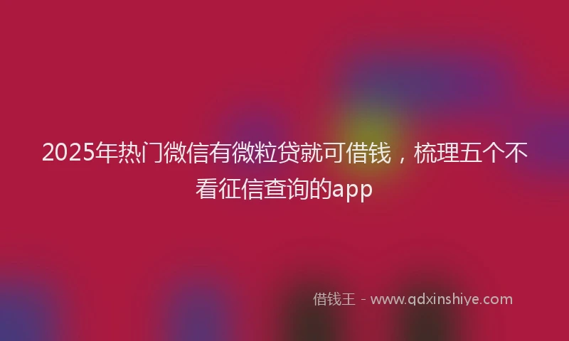 2025年热门微信有微粒贷就可借钱，梳理五个不看征信查询的app