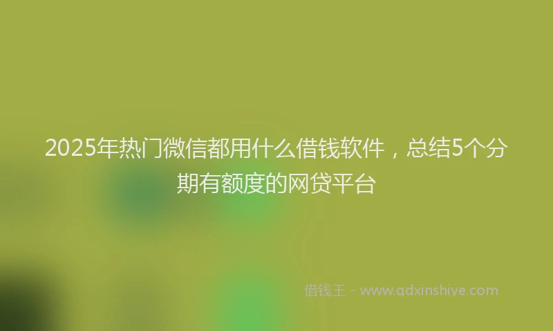 2025年热门微信都用什么借钱软件，总结5个分期有额度的网贷平台